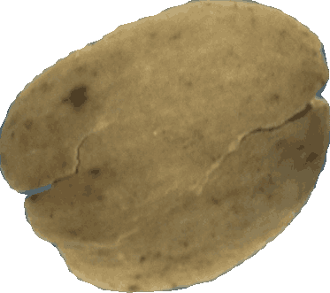 Bean 20260714_2022_i1o_2026-07-14_20-23-36-402___000112_b108_v1