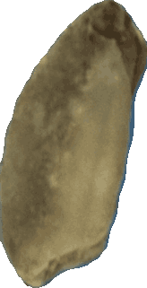 Bean 20260714_2022_i1o_2026-07-14_20-23-45-156___000248_b254_v1