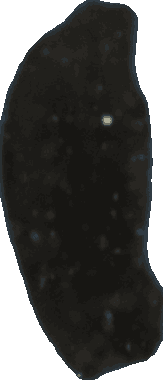 Bean 20260714_2022_i1o_2026-07-14_20-23-59-096___000465_b466_v2
