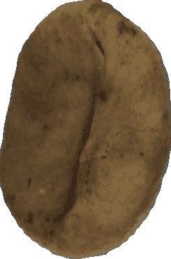 Bean 20260714_2022_i1o_2026-07-14_20-24-08-798___000608_b618_v1