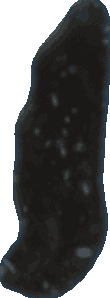 Bean 20260714_2022_i1o_2026-07-14_20-24-12-537___000664_b678_v0
