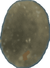 Bean 20260714_2022_i1o_2026-07-14_20-24-19-639___000768_b788_v0