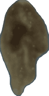 Bean 20260714_2022_i1o_2026-07-14_20-24-37-192___001036_b1030_v2