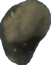 Negro parcial bean, view 3 of 3