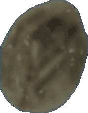 Bean 20260714_2022_i1o_2026-07-14_20-24-47-761___001194_b1196_v0