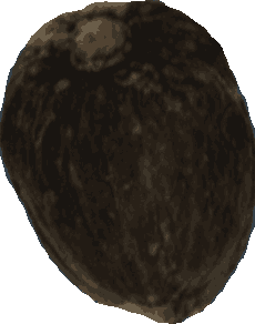 Bean 20260714_2022_i1o_2026-07-14_20-25-00-151___001381_b1419_v1