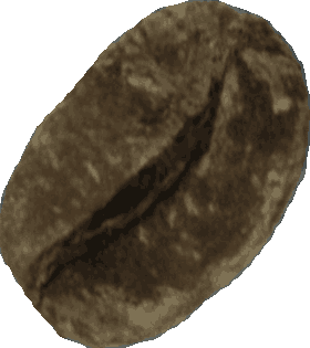 Bean 20260714_2022_i1o_2026-07-14_20-25-04-855___001453_b1497_v1