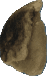 Bean 20260714_2022_i1o_2026-07-14_20-25-19-232___001676_b1758_v1