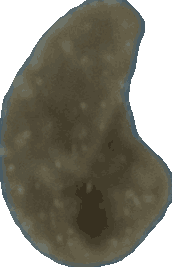 Bean 20260714_2022_i1o_2026-07-14_20-25-29-983___001850_b1934_v0