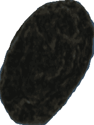 Bean 20260714_2022_i1o_2026-07-14_20-25-35-187___001932_b2028_v1