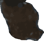 Bean 20260714_2022_i1o_2026-07-14_20-25-47-982___002122_b2237_v0
