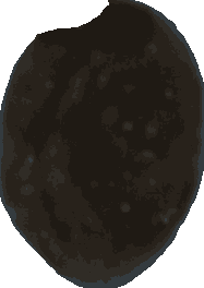 Bean 20260714_2022_i1o_2026-07-14_20-25-48-039___002123_b2234_v2