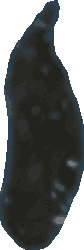 Bean 20260714_2022_i1o_2026-07-14_20-26-00-344___002311_b2427_v0