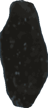 Bean 20260714_2022_i1o_2026-07-14_20-26-00-851___002318_b2439_v0