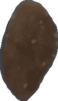 Bean 20260714_2022_i1o_2026-07-14_20-26-03-448___002358_b2491_v2