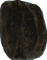 Bean 20260714_2022_i1o_2026-07-14_20-26-09-082___002445_b2598_v1