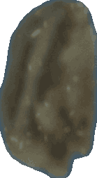 Bean 20260714_2022_i1o_2026-07-14_20-26-14-087___002527_b2683_v0