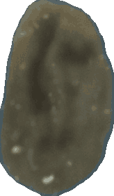 Bean 20260714_2022_i1o_2026-07-14_20-26-23-026___002664_b2850_v0