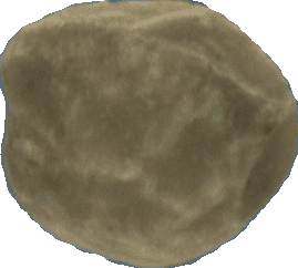 Bean 20260714_2022_i1o_2026-07-14_20-26-26-381___002716_b2895_v1