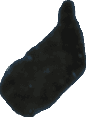 Bean 20260714_2022_i1o_2026-07-14_20-26-32-857___002814_b2981_v2