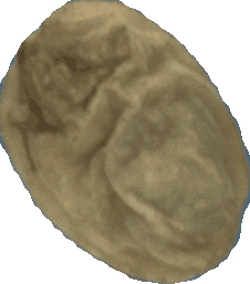 Bean 20260714_2022_i1o_2026-07-14_20-26-32-990___002816_b2984_v1