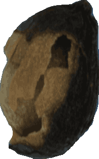 Bean 20260714_2022_i1o_2026-07-14_20-27-13-450___003425_b3566_v1