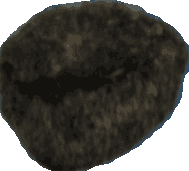 Bean 20260714_2022_i1o_2026-07-14_20-27-34-936___003768_b3929_v1