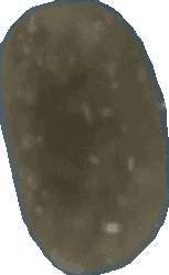 Bean 20260714_2022_i1o_2026-07-14_20-27-40-480___003838_b4024_v0