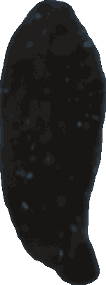 Bean 20260714_2022_i1o_2026-07-14_20-28-03-866___004188_b4389_v2