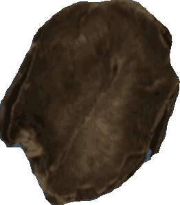 Bean 20260714_2022_i1o_2026-07-14_20-28-05-898___004220_b4413_v1