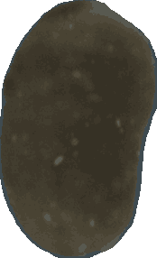 Bean 20260714_2022_i1o_2026-07-14_20-28-13-643___004344_b4566_v2