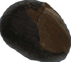 Bean 20260714_2022_i1o_2026-07-14_20-28-18-940___004422_b4667_v1