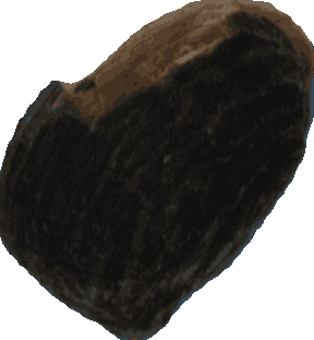Bean 20260714_2022_i1o_2026-07-14_20-28-27-229___004552_b4804_v1