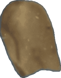 Bean 20260714_2022_i1o_2026-07-14_20-28-48-228___004882_b5147_v2