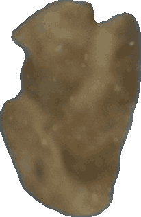 Bean 20260714_2022_i1o_2026-07-14_20-28-58-513___005042_b5183_v2